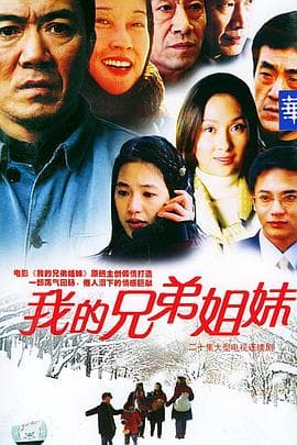 我的兄弟姐妹 - 国产剧 (2004) 海报