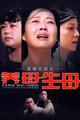 真情无限之养母生母 - 国产剧 (2009) 海报