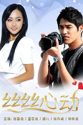 丝丝心动 - 国产剧 (2010) 海报