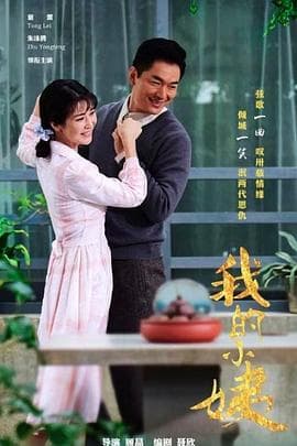 我的小姨 - 国产剧 (2017) 海报