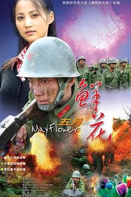 五月的鲜花 - 国产剧 (2007) 海报