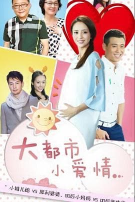 大都市小爱情 - 国产剧 (2014) 海报
