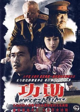 功勋2007 - 国产剧 (2007) 海报