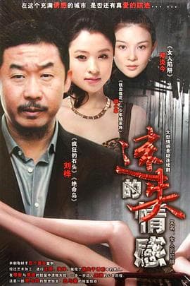 女人的陷阱 - 国产剧 (2012) 海报