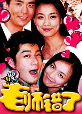 老师错了 - 国产剧 (2008) 海报