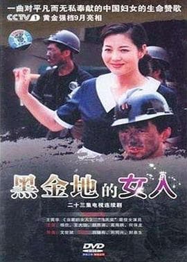 黑金地的女人 - 国产剧 (2008) 海报