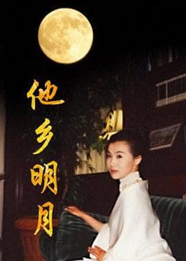 他乡明月 - 国产剧 (1996) 海报