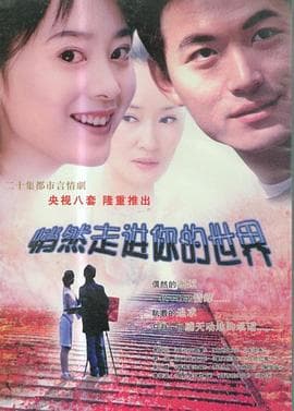 悄然走进你的世界 - 国产剧 (2004) 海报