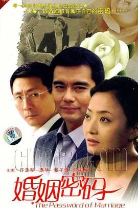 婚姻密码 - 国产剧 (2011) 海报