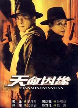 天命因缘 - 国产剧 (2003) 海报