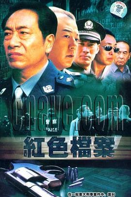 8.13重案组 - 国产剧 (2007) 海报