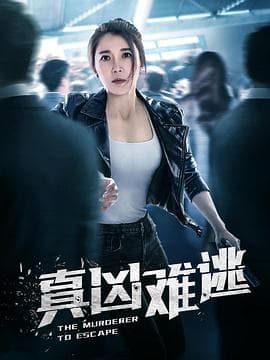 真凶难逃 - 国产剧 (2013) 海报