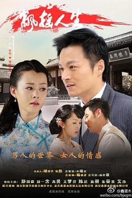 飘摇人生 - 国产剧 (2012) 海报