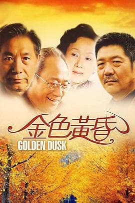 金色黄昏 - 国产剧 (2008) 海报