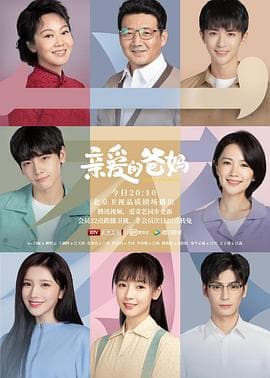 亲爱的爸妈 - 国产剧 (2021) 海报