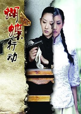 蝴蝶行动 - 国产剧 (2011) 海报