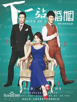 下一站婚姻 - 国产剧 (2014) 海报