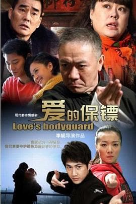爱的保镖 - 国产剧 (2014) 海报
