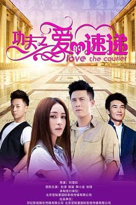 功夫之爱的速递 - 国产剧 (2016) 海报