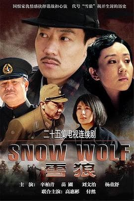 雪狼 - 国产剧 (2007) 海报