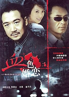 血色婚恋 - 国产剧 (1996) 海报