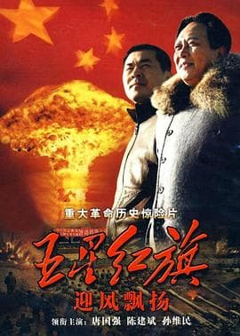 五星红旗迎风飘扬 - 国产剧 (2011) 海报