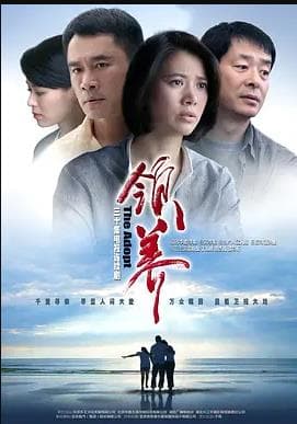 领养 - 国产剧 (2016) 海报