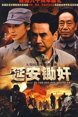 延安锄奸 - 国产剧 (2009) 海报