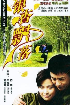 银杏飘落 - 国产剧 (2004) 海报