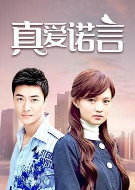 真爱诺言 - 国产剧 (2008) 海报
