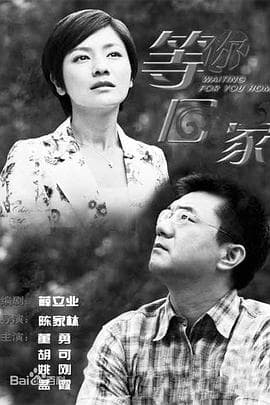 我在等你回家 - 国产剧 (2011) 海报