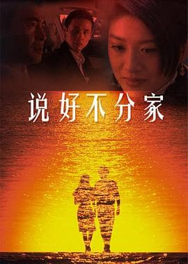 说好不分家 - 国产剧 (2008) 海报