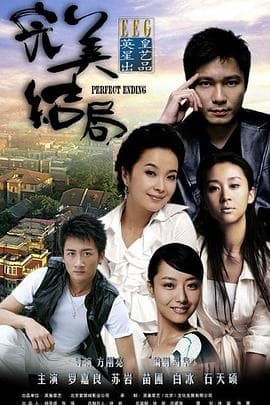 完美结局 - 国产剧 (2008) 海报