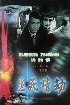 生死情劫 - 国产剧 (2003) 海报