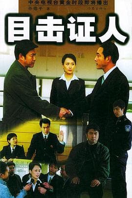目击证人 - 国产剧 (2003) 海报