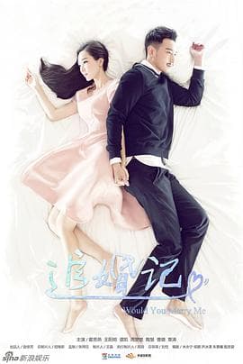 追婚记 - 国产剧 (2016) 海报