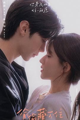 偷偷藏不住 - 国产剧 (2023) 海报