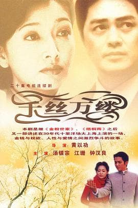 千丝万缕 - 国产剧 (2003) 海报