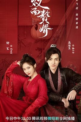 双面赘婿 - 国产剧 (2022) 海报