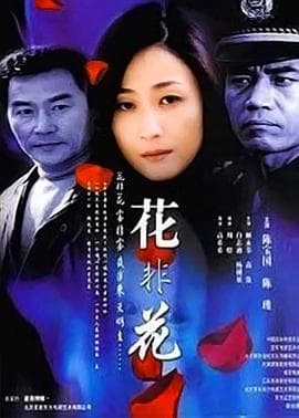 花非花 - 国产剧 (2002) 海报
