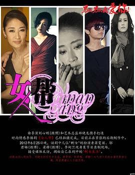 女人帮 - 国产剧 (2013) 海报