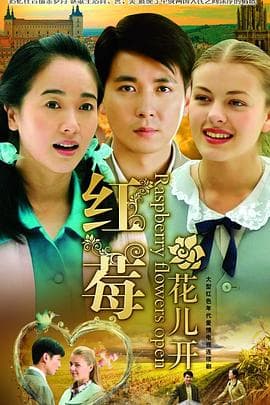 红莓花儿开 - 国产剧 (2009) 海报
