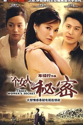 三个女人的秘密 - 国产剧 (2009) 海报