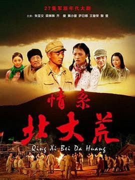 情系北大荒 - 国产剧 (2009) 海报