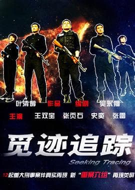 觅迹追踪 - 国产剧 (2009) 海报
