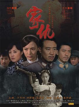 家仇 - 国产剧 (2009) 海报