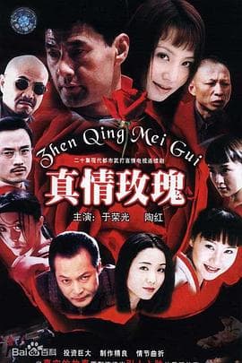真情玫瑰 - 国产剧 (2002) 海报