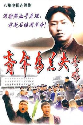 青年乌兰夫 - 国产剧 (2004) 海报