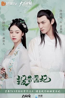报告医妃 - 国产剧 (2020) 海报