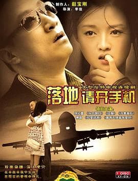 落地，请开手机 - 国产剧 (2008) 海报